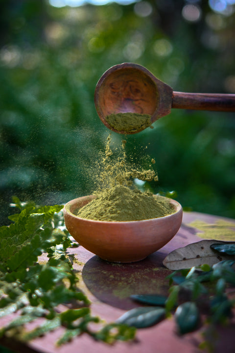 Redish Moringa Powder